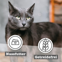 catz finefood Senior Collection Katzenfutter nass - Premium Nassfutter für Ihre Senior Katze - getreidefree, ohne Zucker, hoher Fleischanteil, Vitamine & Mineralien (6 x 200g Dose)