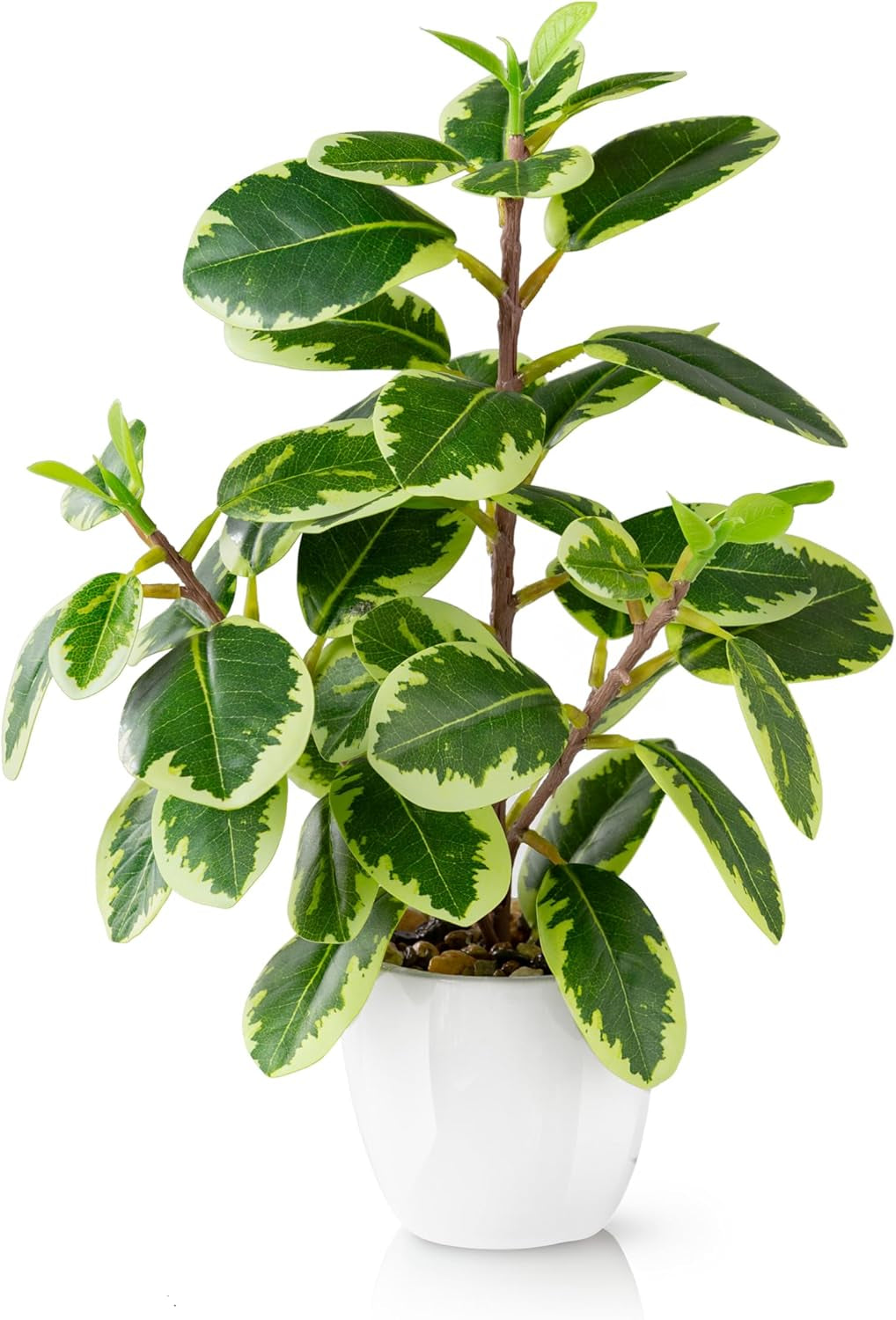 PASCH® 4Er Set Tropische Kunstpflanzen Wie Echt (35Cm) in Weißen Keramiktöpfen: U.A. Monstera Künstlich & Areca Kunstpalme | Künstliche Pflanzen Im Topf | Fake Plant | Kunstblumen Im Topf