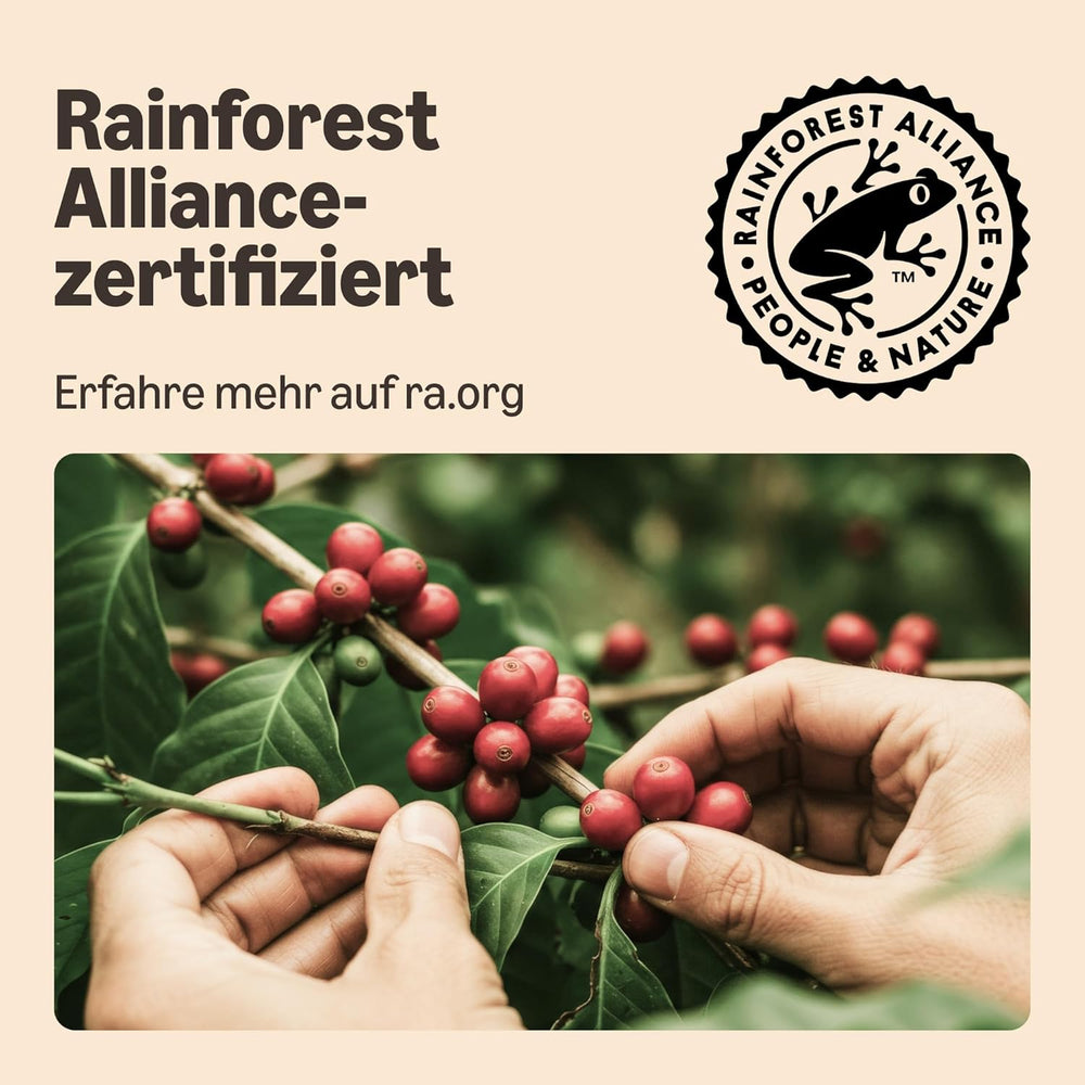 par Amazon Lungo Kaffee-Kunststoffkapseln, compatible Nespresso, 20 Stück, Packung mit 1 – Rainforest Alliance certifié