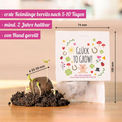 10x "Glück to grow" Semenbomben als Glückbringer 2026 & Blumensamen Geschenk | Mitbringsel Erwachsene & kleine Gastgeschenke Silvester - Kleeblatt Glückbringer Prüfung - inkl. Ensemble de cartes-cadeaux