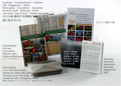SAFLAX - Geschenk Set - Kakteen - Madagascar - Palme - 10 Samen - Mit Geschenk- / Versandbox, Versandaufkleber, Geschenkkarte Und Anzuchtsubstrat - Pachypodium Lamerei