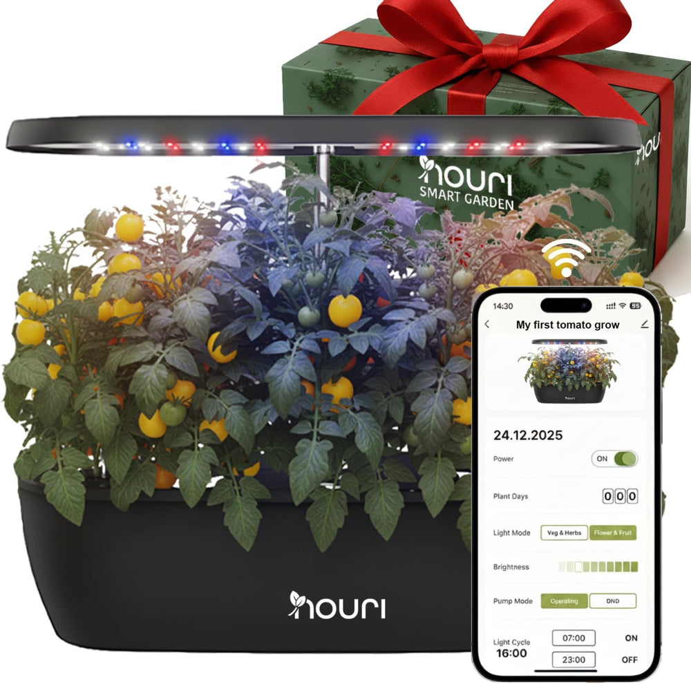 Nouveau pont 7 + basilic héritage | Jardin intelligent pour les cuisiniers à domicile | Système de culture hydroponique | Lampes de culture LED | Kit de jardinage d'herbes aromatiques d'intérieur pour les amateurs de plantes et les jardiniers, blanc
