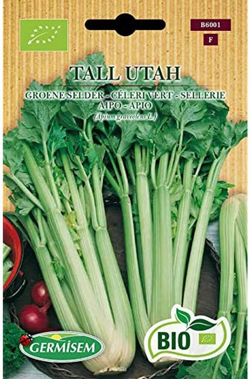 Sellerie TALL UTAH, ECBIO6001