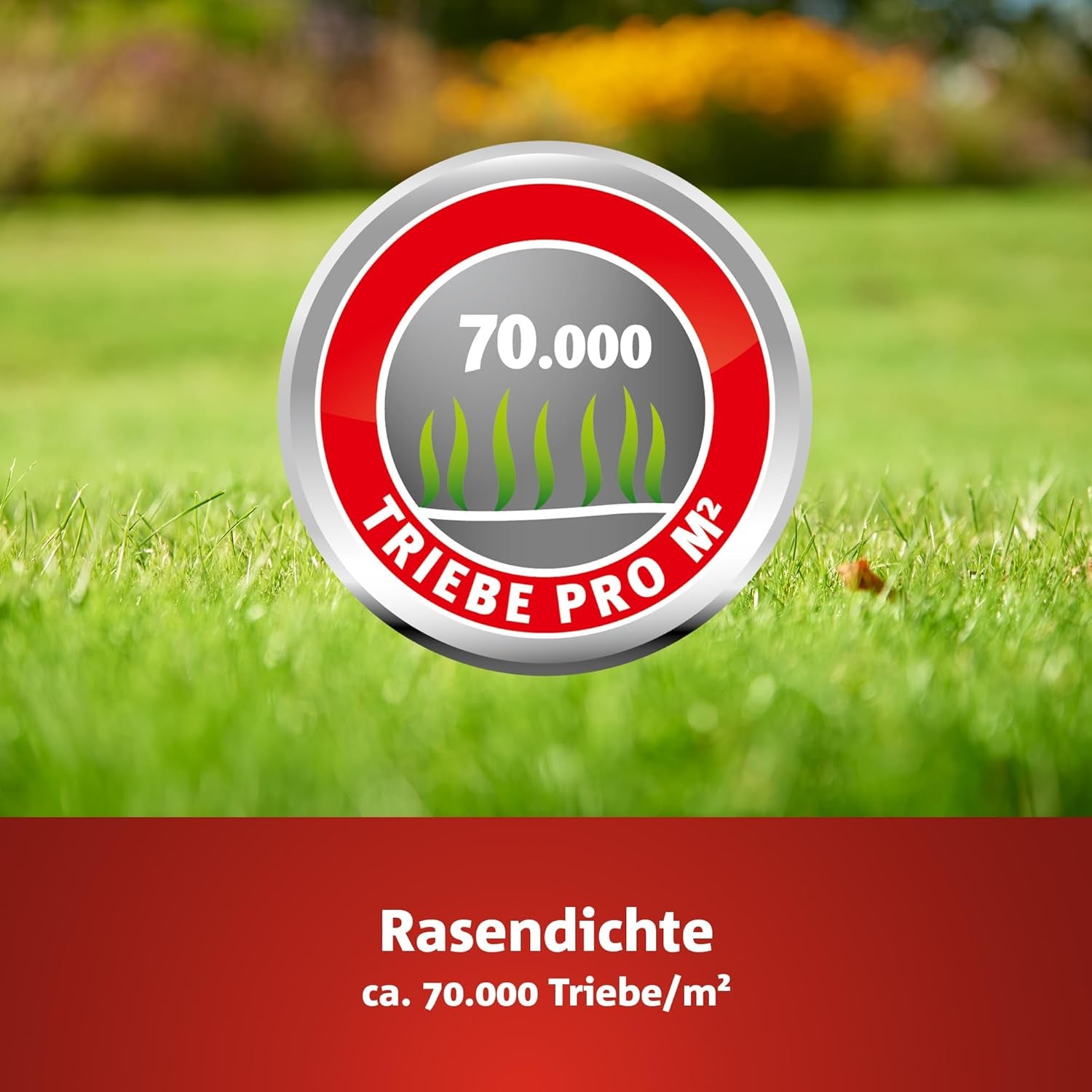 Wolf-Garten Trocken-Rasen PREMIUM L-TP 100 (Für 100 M², Hohe Dichte Mit Ca. 70.000 Trieben/M2, Sehr Gute Hitze- Und Trockenverträglichkeit, Widerstandsfähig Gegen Frost, 3 Kg Faltschachtel) 3824641