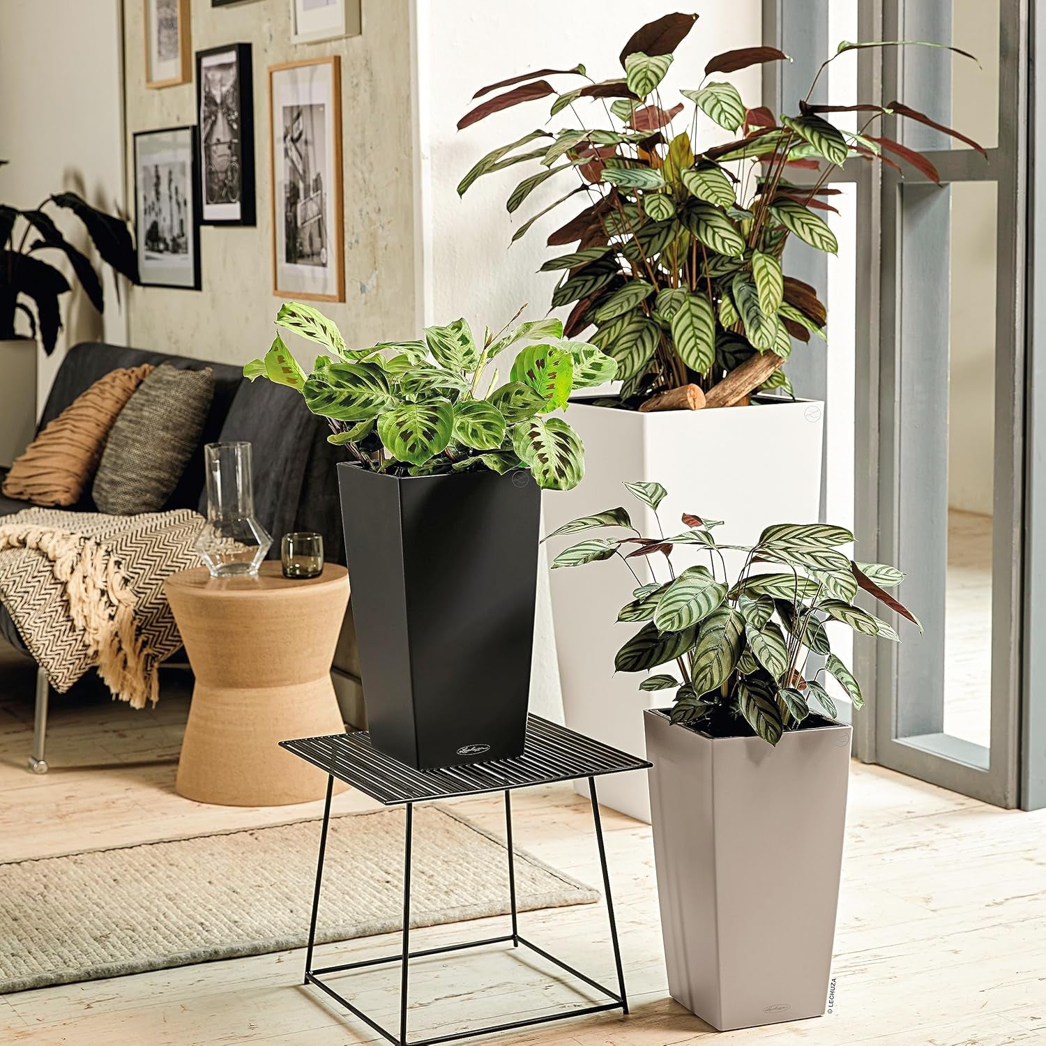 LECHUZA CUBICO Couleur 30 gris ardoise 13138, 29,5x29,5x56,5 cm