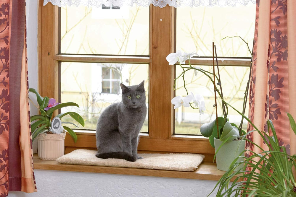 Couvertures et meubles, Animaux, Chats, Lits pour chats, Tapis à gratter, Chats - lits, matelas