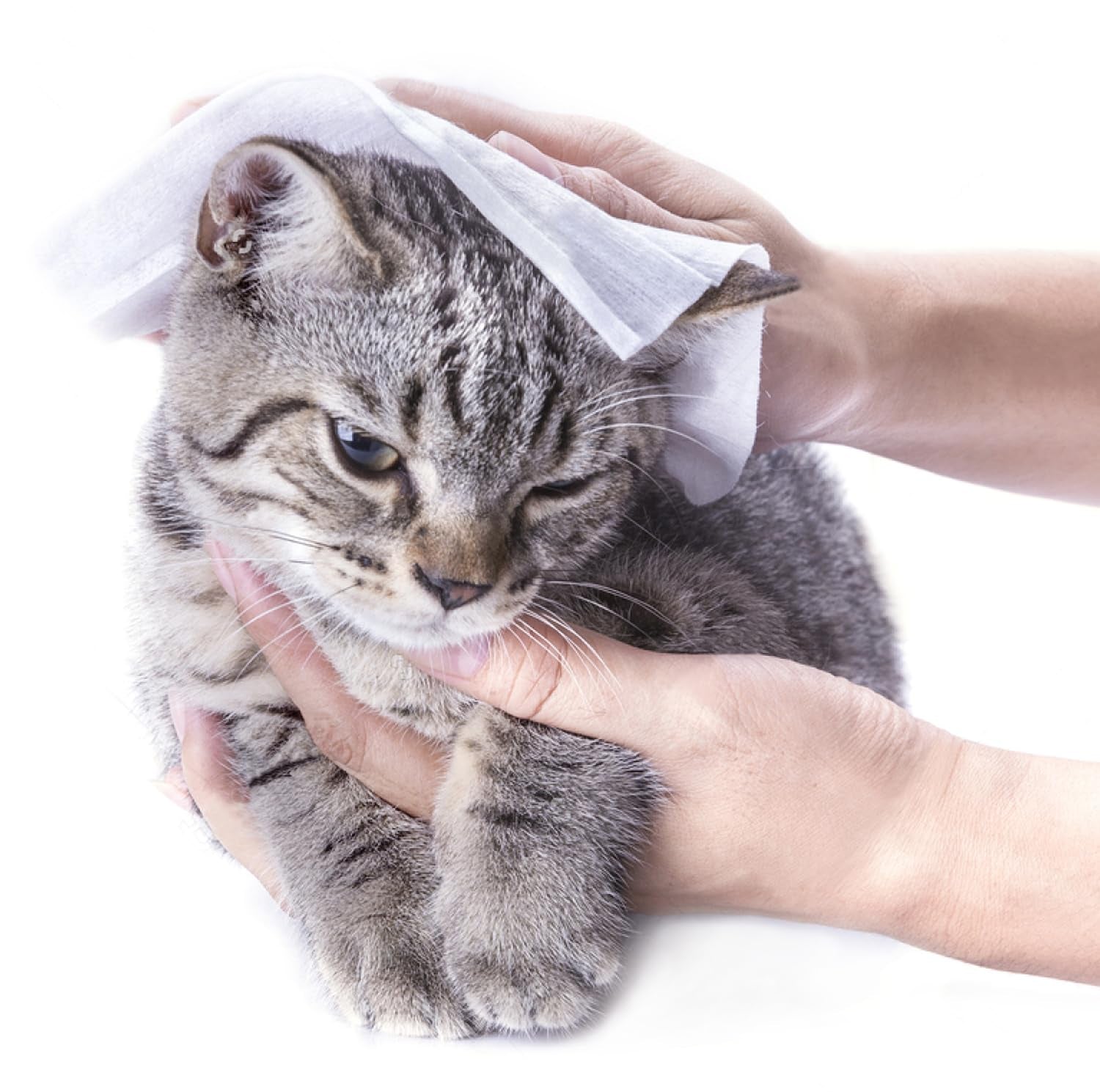 Go 07 Citronella Șervețel compresat de curățare cu lichid 50 de bucăți