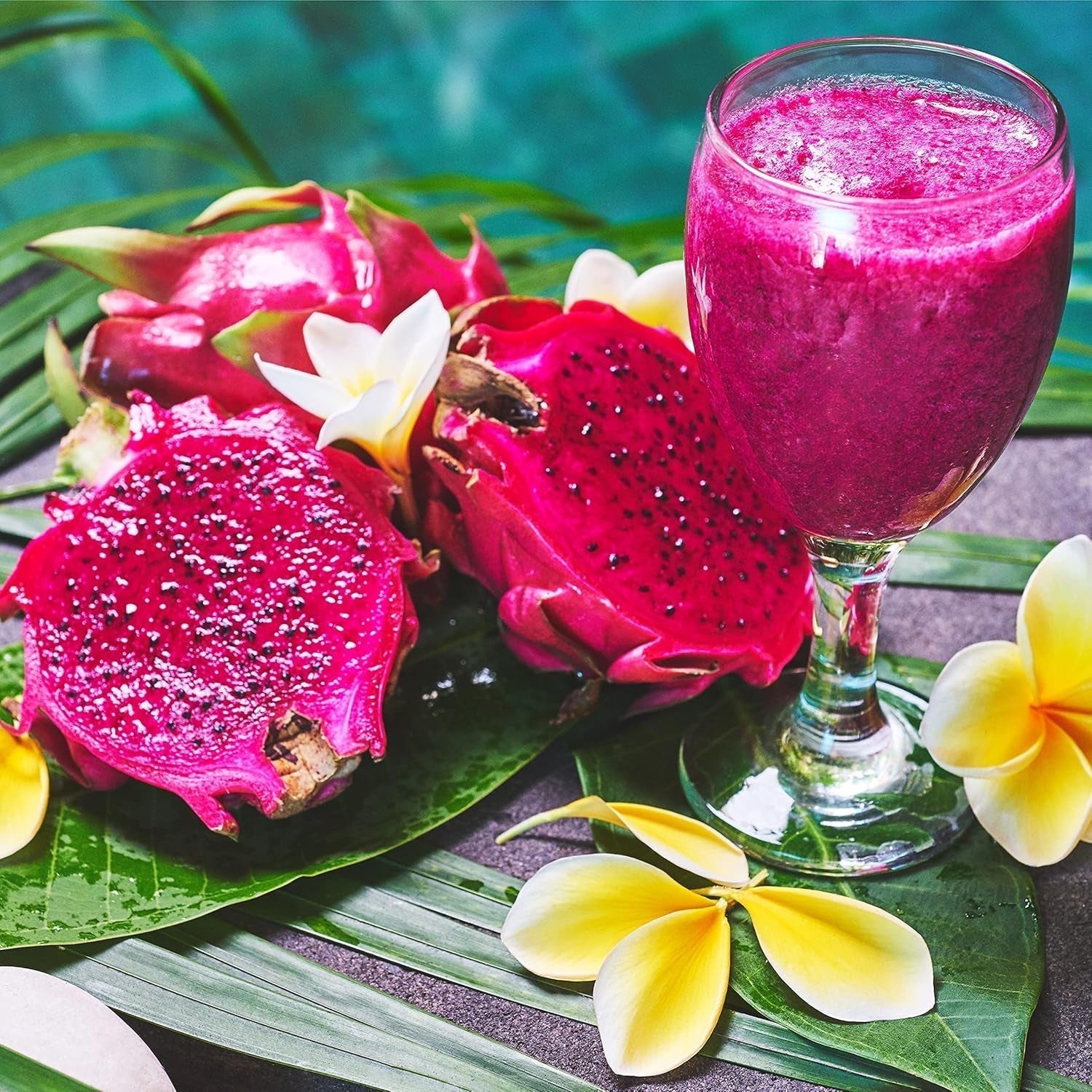 Fruit du dragon lyophilisé 50g - Fruit du dragon lyophilisé - Fruits secs lyophilisés - Fruit du dragon séché tranché pour pâtisserie, décoration, snacks, muesli, desserts Produits déshydratés Ma boutique