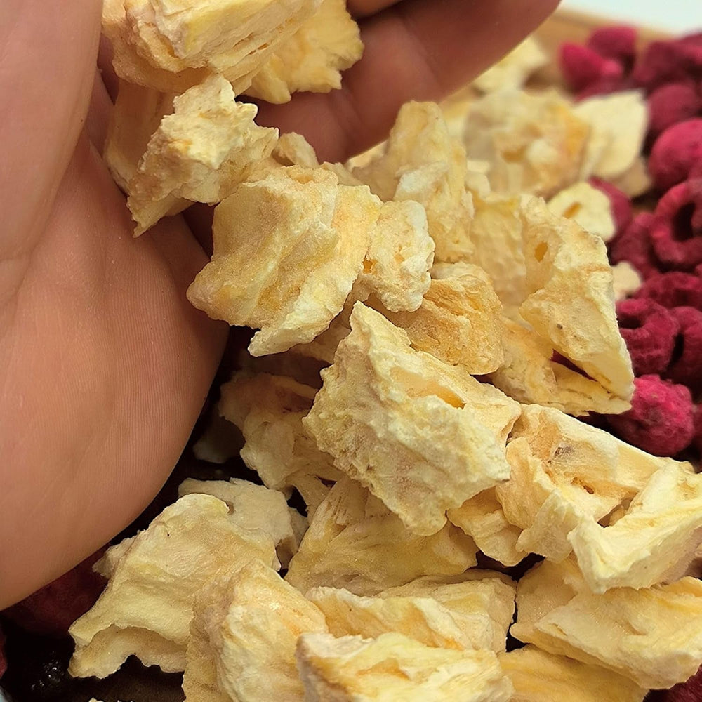 Fruits lyophilisés | Ananas 100% pur Fruits lyophilisés Ananas lyophilisé | Fruits lyophilisés sans sucre ajouté | Ananas lyophilisé croustillant - aromatique - délicieux ZingyZoo Produits déshydratés Naty Shop