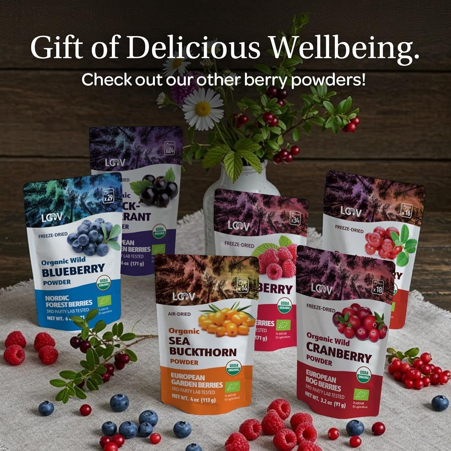 LOOV Poudre de myrtille sauvage biologique - Approvisionnement de 29 jours 171 g Idéal pour les smoothies et le petit-déjeuner Lyophilisé Europe du Nord Sans sucre ajouté Naty Shop Produits déshydratés