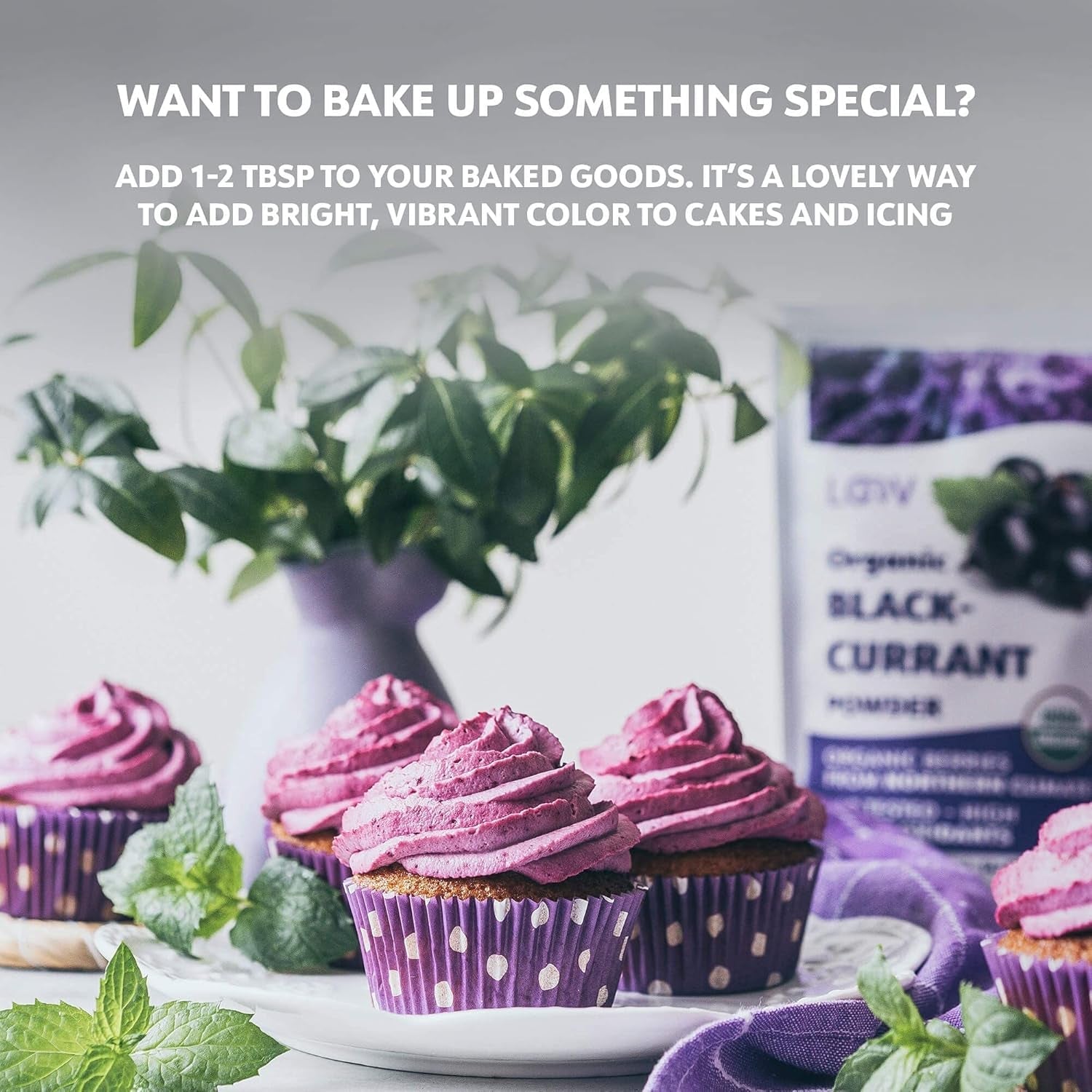 Poudre de cassis biologique LOOV, composée à 100 % de cassis entiers, de baies biologiques lyophilisées et en poudre, cultivées en Europe du Nord, sans sucre ajouté, 113 g Naty Shop Produits déshydratés