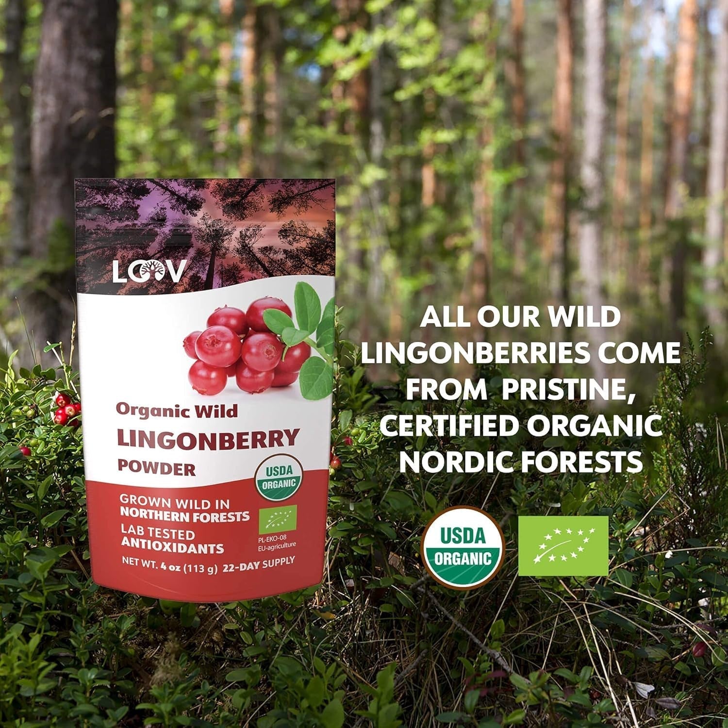 Poudre de myrtille bio LOOV, composée à 100% de myrtilles sauvages entières lyophilisées récoltées dans les forêts du nord de l'Europe, 113g, sans sucre ajouté Naty Shop Produits Déshydratés