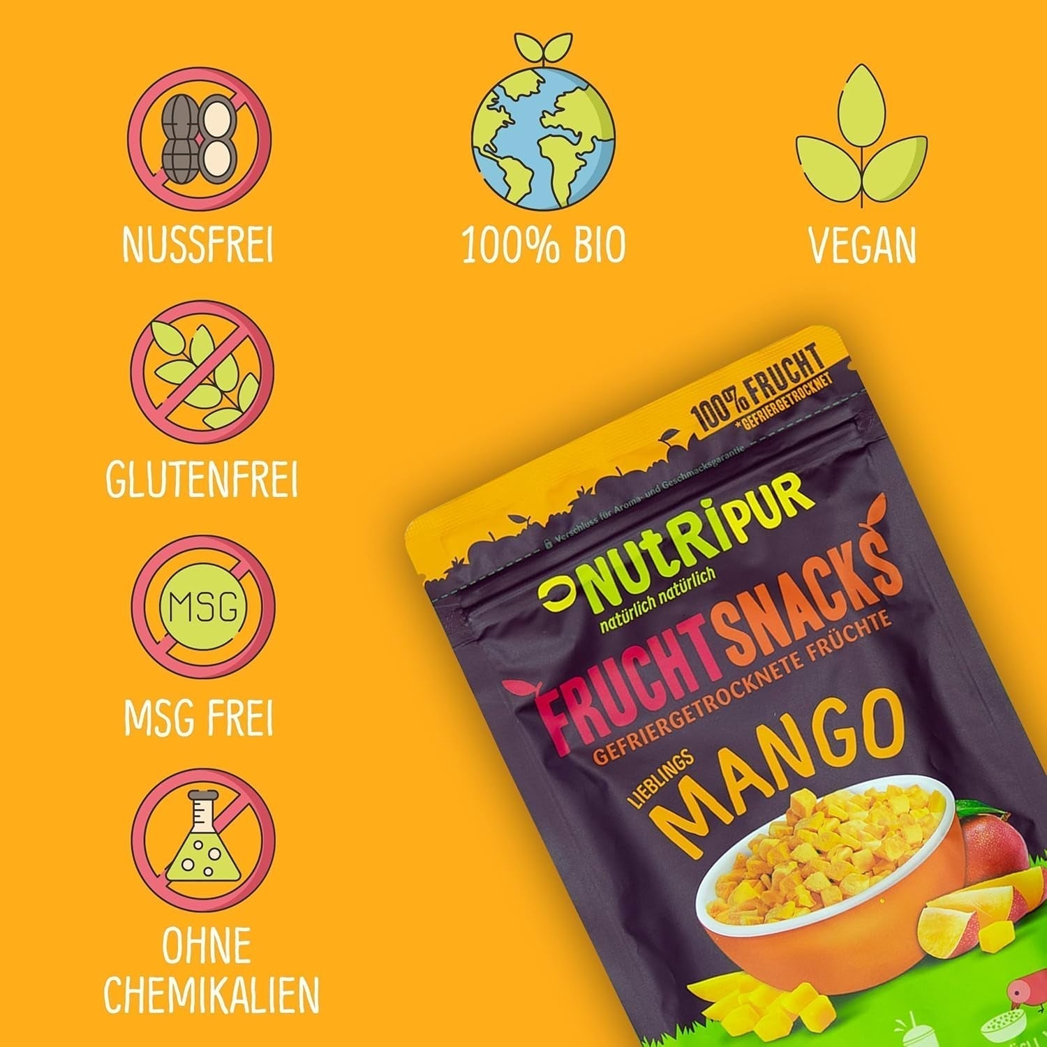 Mangue lyophilisée : 100g de fruits lyophilisés à partir de morceaux tendres de mangue sans sucre ajouté - mangue séchée - mangue séchée - fruits secs - fruits secs de NutriPur Produits déshydratés Naty Shop