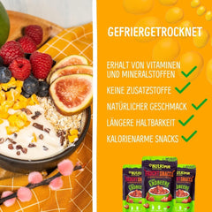 Mangue lyophilisée : 100g de fruits lyophilisés à partir de morceaux tendres de mangue sans sucre ajouté - mangue séchée - mangue séchée - fruits secs - fruits secs de NutriPur Produits déshydratés Naty Shop