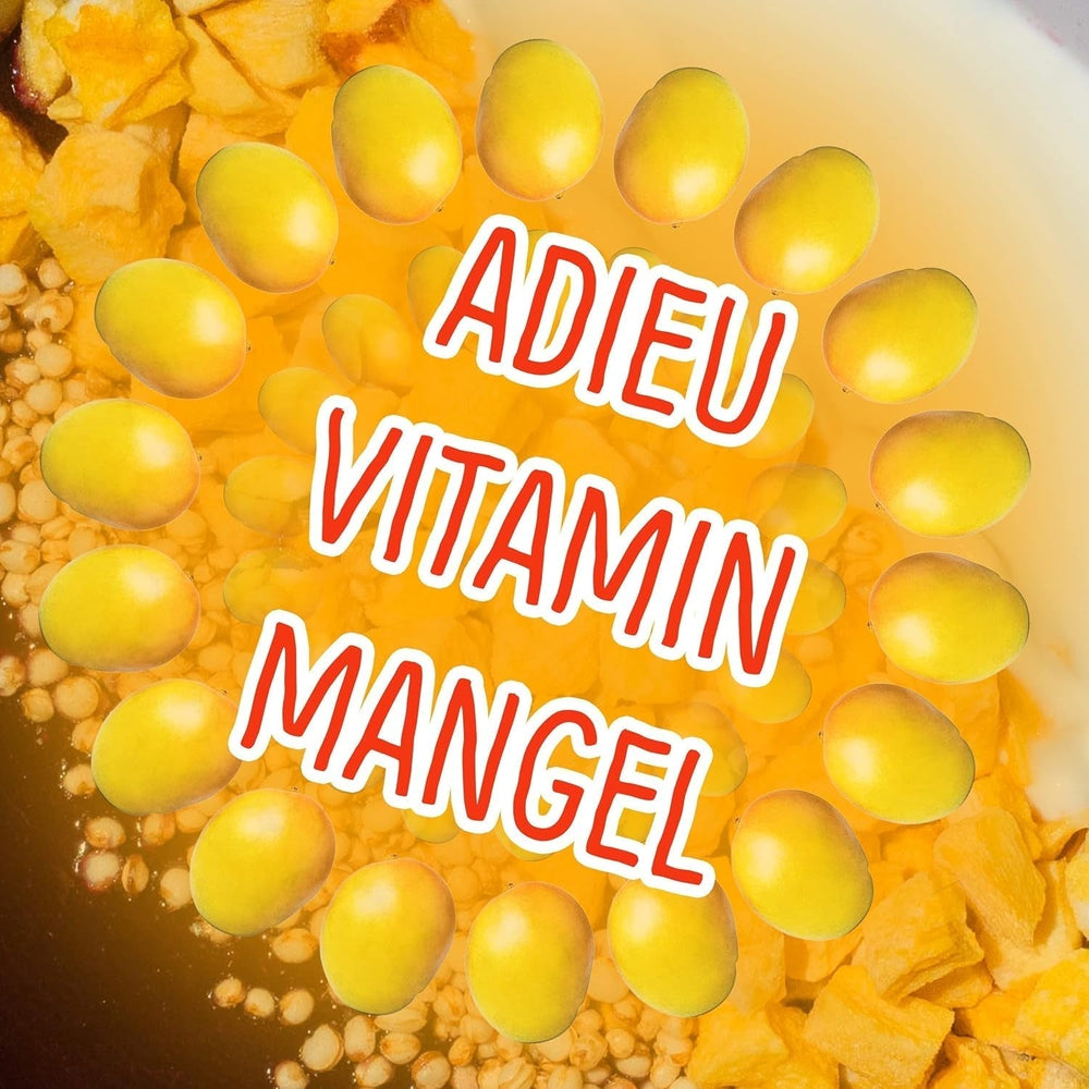 Mangue lyophilisée : 100g de fruits lyophilisés à partir de morceaux tendres de mangue sans sucre ajouté - mangue séchée - mangue séchée - fruits secs - fruits secs de NutriPur Produits déshydratés Naty Shop