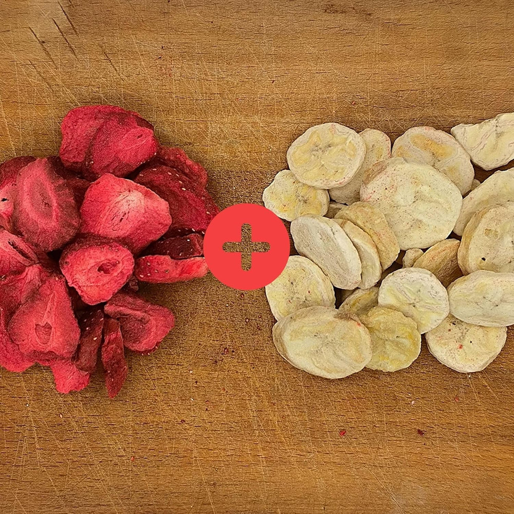 Mélange de fruits lyophilisés ErdBana XL 300g | Bananes lyophilisées + fraises lyophilisées Coffret dégustation fruits lyophilisés | Mélange de fruits lyophilisés fraise et banane | ZingyZoo Produits déshydratés Naty Shop