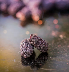 Mûre BRIX | Mûres séchées naturelles 95 g | Grand Prix du Goût pour les Fruits Secs | Sans OGM, sans gluten, végétalien, vitamines conservées Naty Shop Produits déshydratés