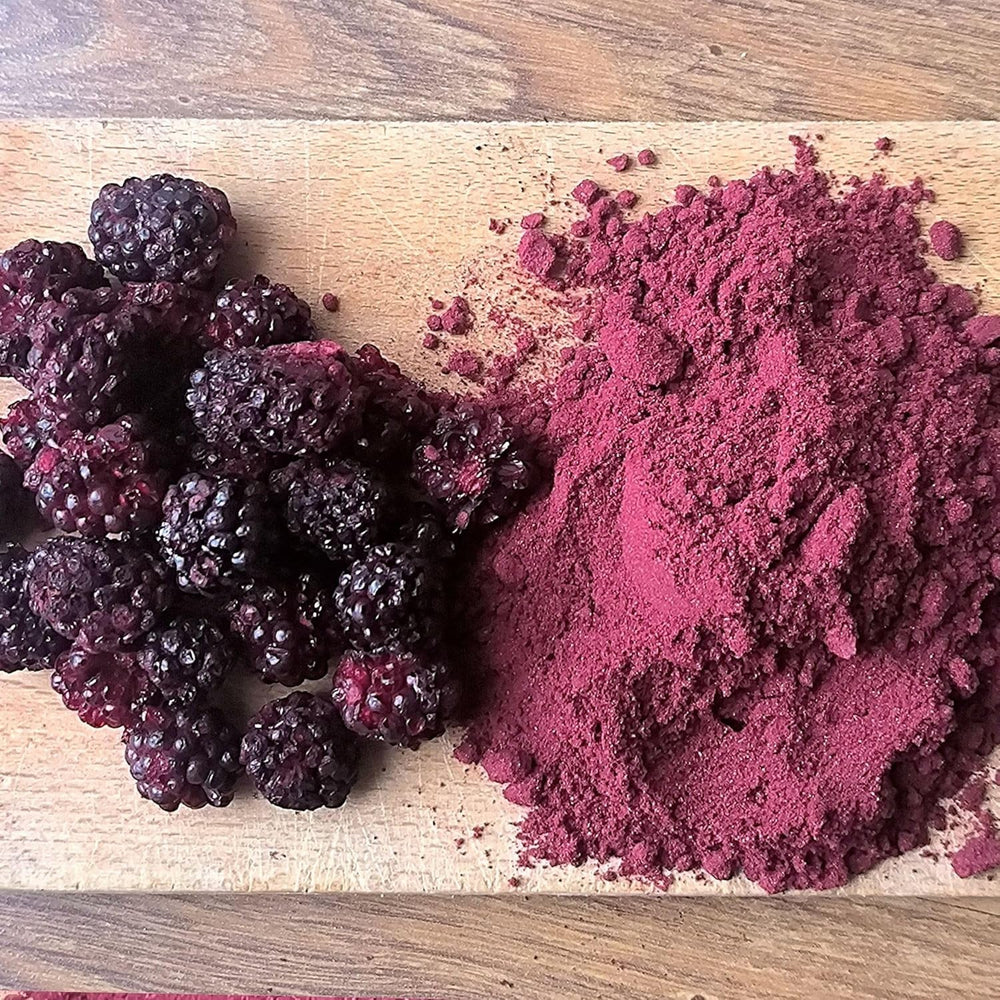 Mûres lyophilisées en poudre | 100% poudre de fruits lyophilisés Fruits secs naturels sans additifs | poudre de fruits Fruits lyophilisés poudre de mûres Produits déshydratés Naty Shop