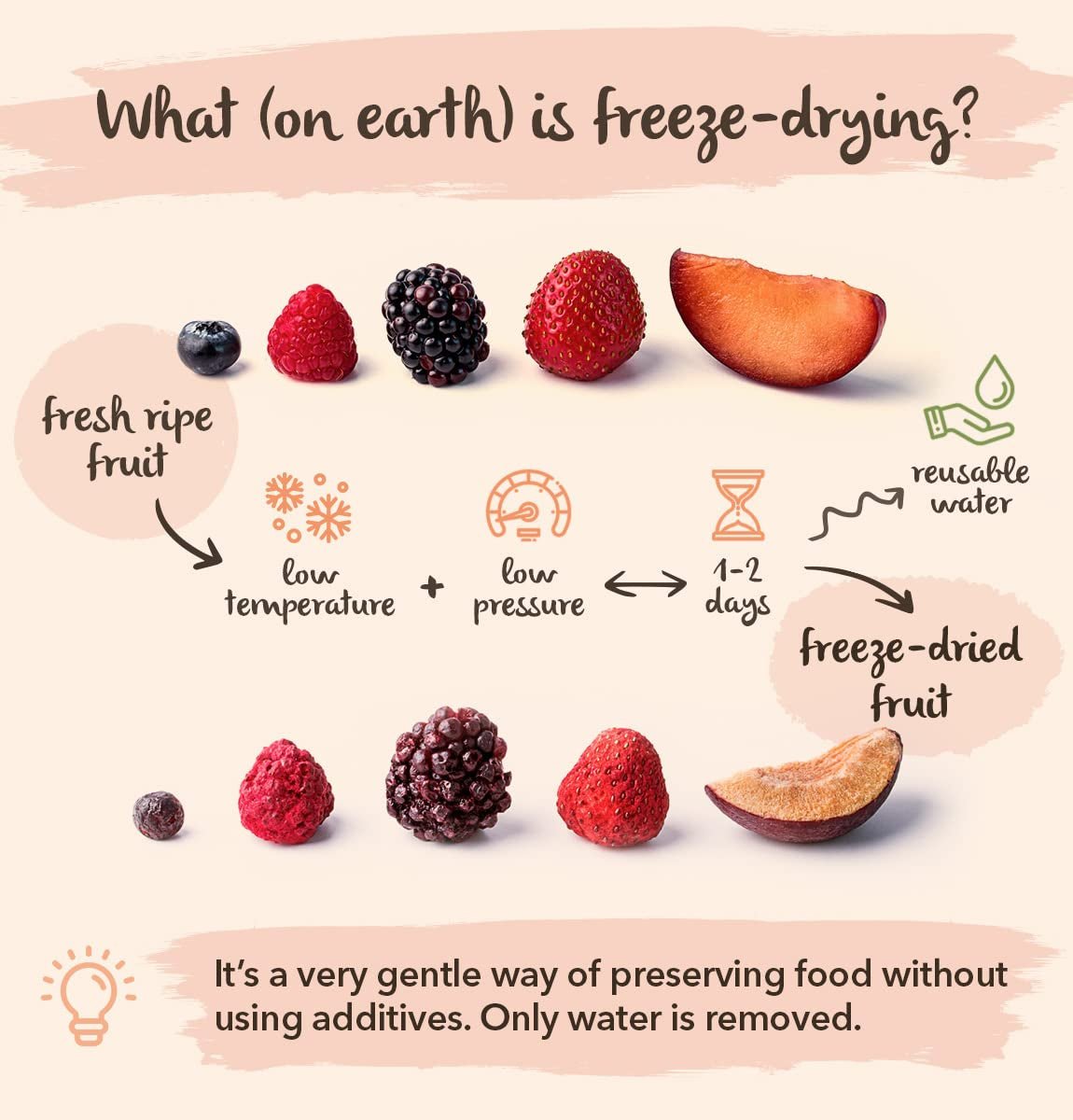 Mure sălbatice BRIX | Mure sălbatice naturale, uscate 95 g | Premiul Great Taste pentru fructe de pădure uscate | Fără OMG, fără gluten, vegan, vitamine reținute Produse deshidratate Naty Shop