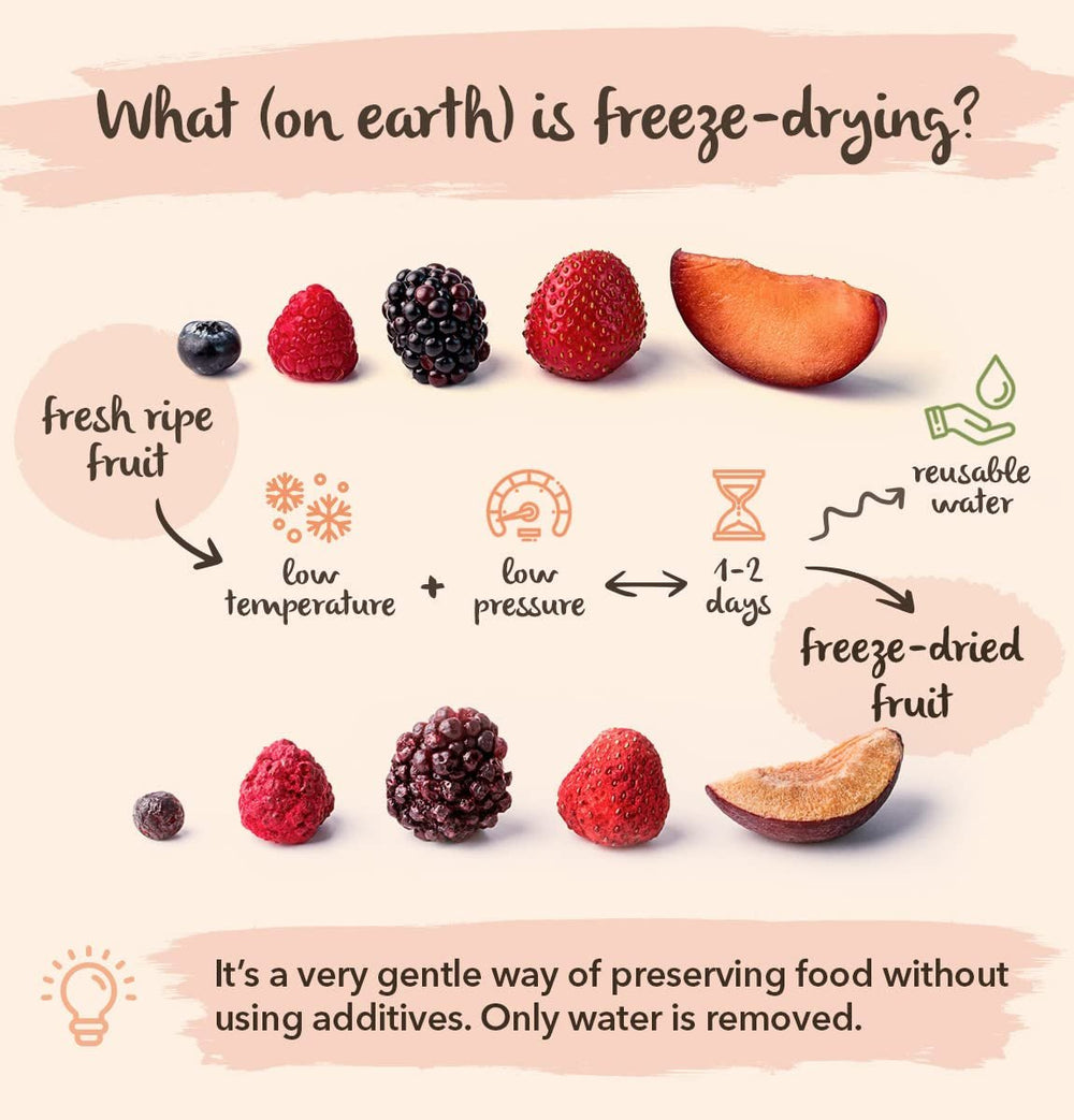 Mûres sauvages BRIX | Mûres sauvages naturelles, séchées 95 g | Prix ​​du Grand Goût pour les Baies Séchées | Sans OGM, sans gluten, végétalien, vitamines retenues Naty Shop Produits déshydratés