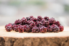 Mûres sauvages BRIX | Mûres sauvages naturelles, séchées 95 g | Prix ​​du Grand Goût pour les Baies Séchées | Sans OGM, sans gluten, végétalien, vitamines retenues Naty Shop Produits déshydratés