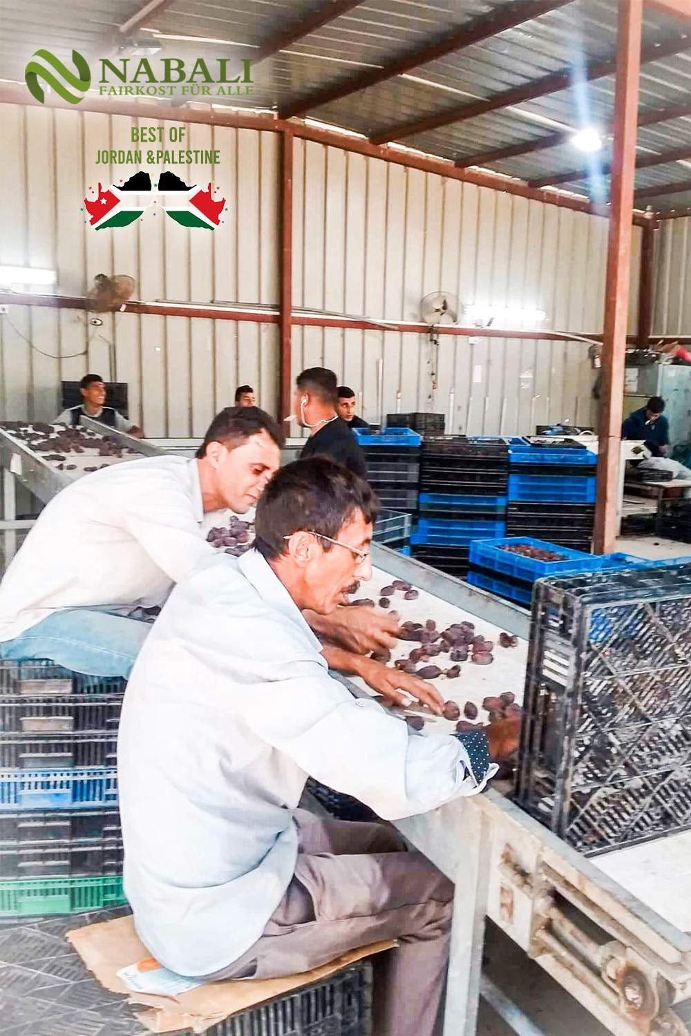 NABALI FAIRKOST 2KG Medjool - Dattes Medjoul Délice Qualité I Arôme 100% naturel frais et vegan I Dattes Medjool sans conservateur sucrées comme le miel et caramélisées (2KG) Produits déshydratés Naty Shop