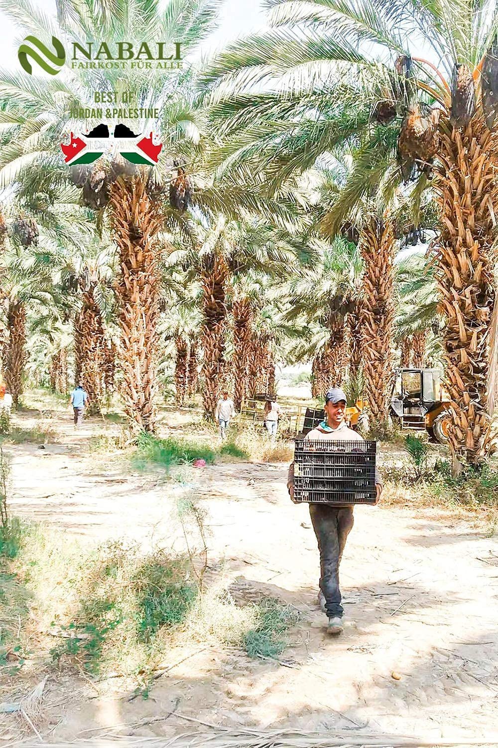 NABALI FAIRKOST 2KG Medjool - Dattes Medjoul Délice Qualité I Arôme 100% naturel frais et vegan I Dattes Medjool sans conservateur sucrées comme le miel et caramélisées (2KG) Produits déshydratés Naty Shop