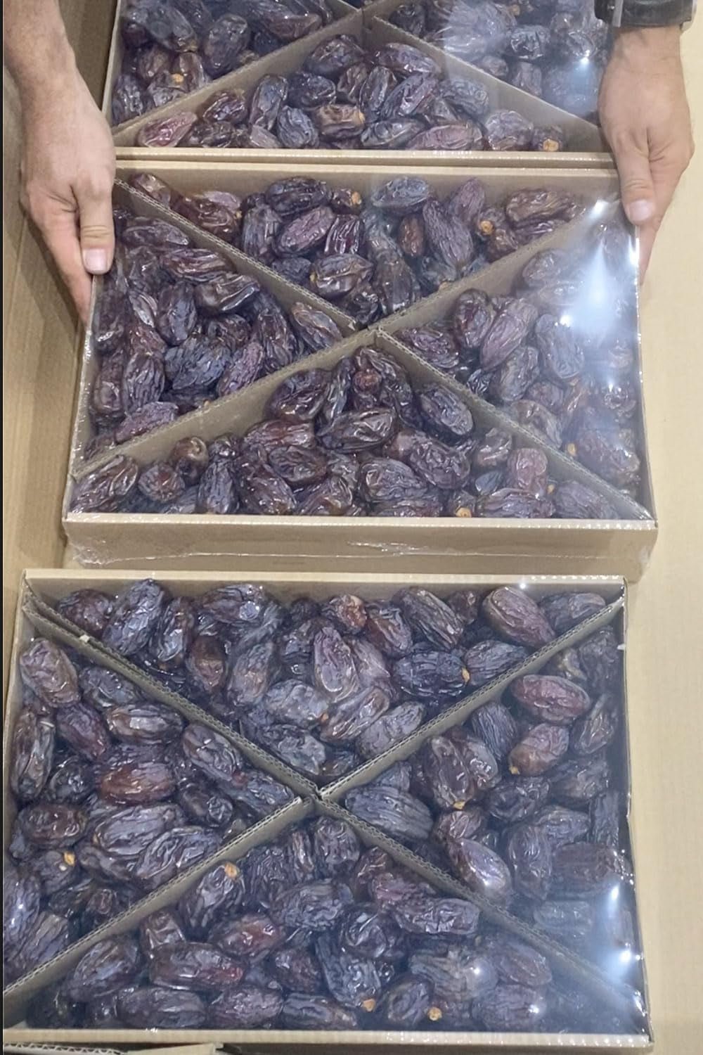 NABALI FAIRKOST FOR ALL Dattes Medjool Medjoul de Palestine - 100% naturel vegan aromatique traditionnel frais et oriental I sans conservateurs 5 kg (1 paquet), Petits/Moyens Produits déshydratés Naty Shop