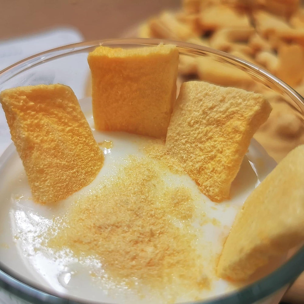 Poudre de mangue lyophilisée | Poudre de fruits lyophilisés sans sucre ajouté | Poudre de mangue lyophilisée Mangue lyophilisée | Mangue lyophilisée Poudre sans additifs | ZingyZoo (100g) Naty Shop produits déshydratés