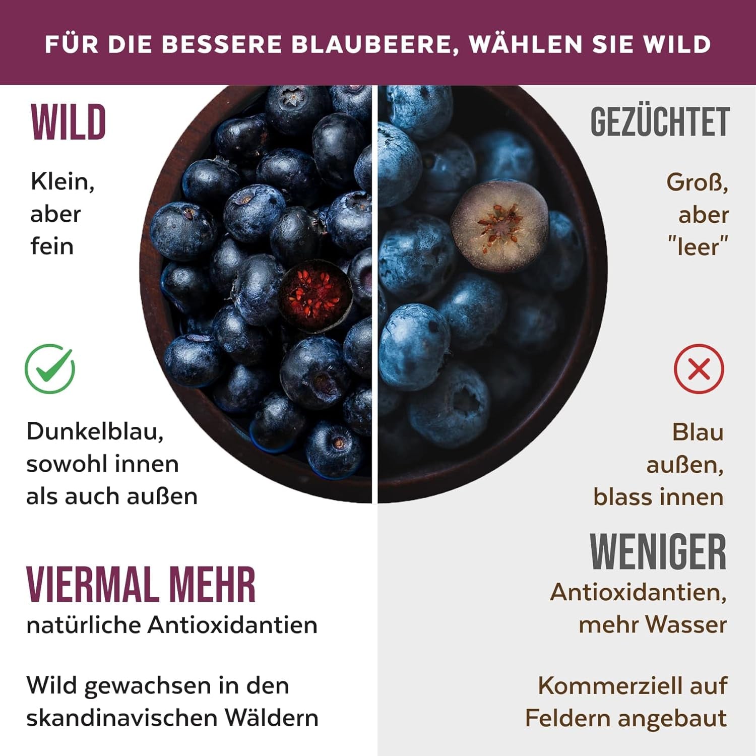 Poudre de myrtilles sauvages biologiques, myrtilles entières lyophilisées, qualité 100% crue, riche en antioxydants et en vitamine C, sans sucre ajouté, récoltées en Europe du Nord Produits séchés Naty Shop