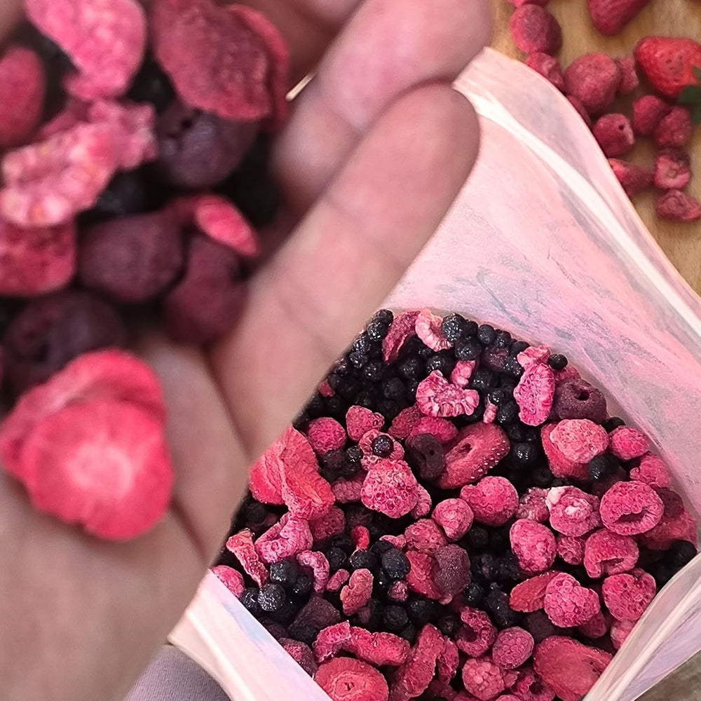 Mélange de fruits lyophilisés Super Baies | XL 300g Fruits secs sans sucre | Fruits secs | Fruits secs Fraises lyophilisées Framboises Myrtilles lyophilisées ZingyZoo Produits déshydratés Naty Shop