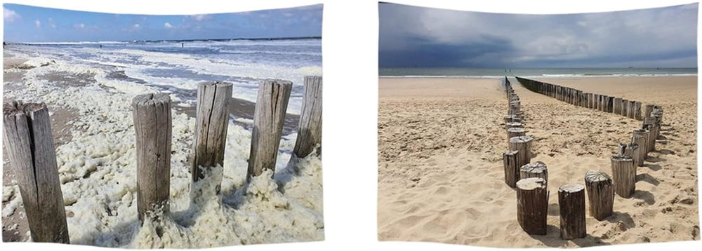 Tapisserie ulticool maison plage mer palmier île Maison - Accessoires et Décorations Naty Shop Côte plage