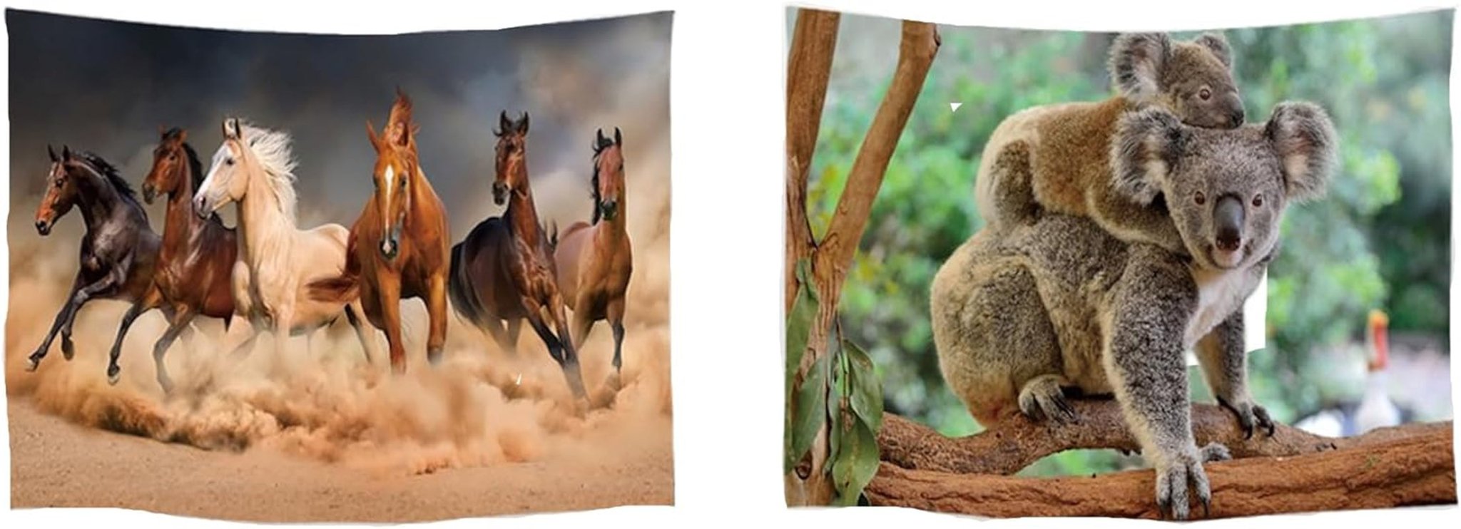 Tapisserie ulticool maison plage mer palmier île Maison - Accessoires et Décorations Naty Shop Koala Chevaux